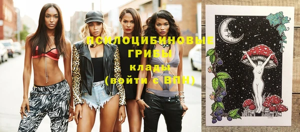 apvp Пестово