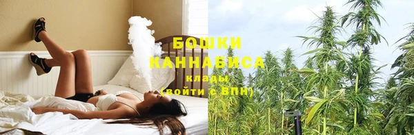 сатива Володарск